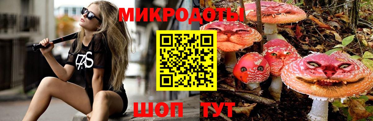Галлюциногенные грибы Cubensis  Вход с VPN  Ленинск-Кузнецкий 