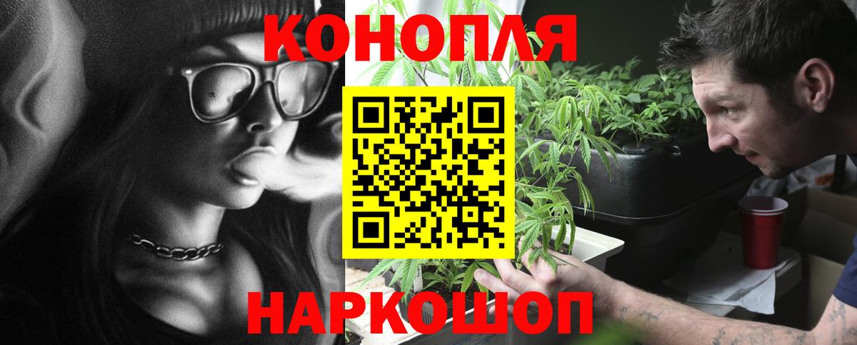Бошки марихуана планчик Ленинск-Кузнецкий